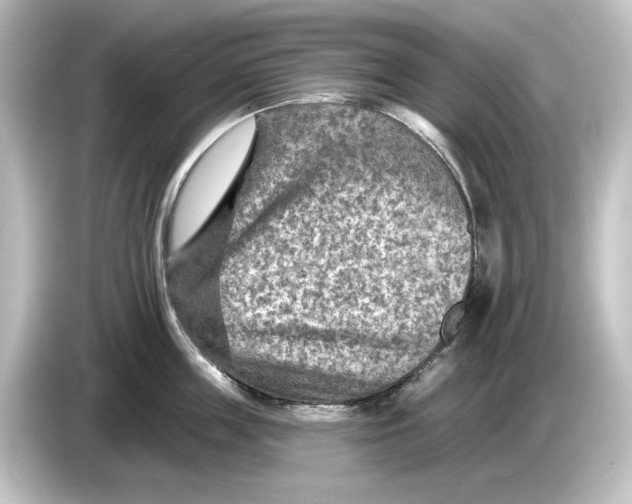 X0000084600859200703161817