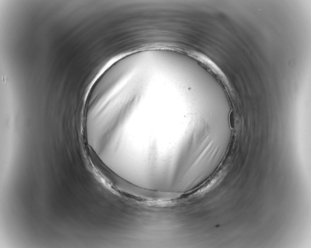 X0000084600860200703161817