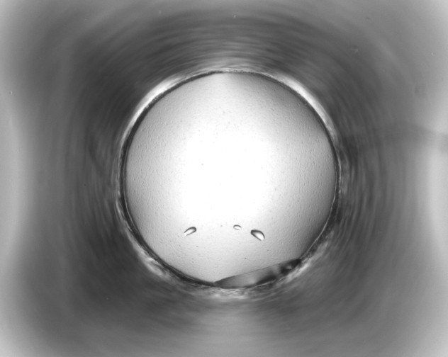 X0000084600861200703161817