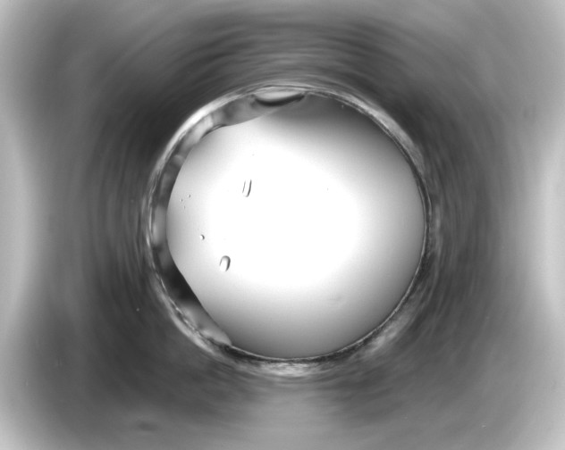 X0000084600862200703161817