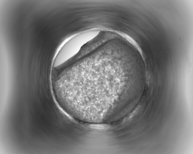 X0000084600863200703161817