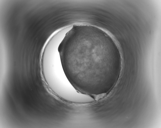 X0000084600864200703161817