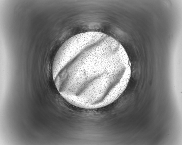 X0000084600866200703161816