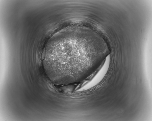 X0000084600868200703161816