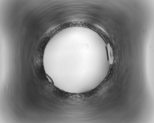 X0000084600869200703161816