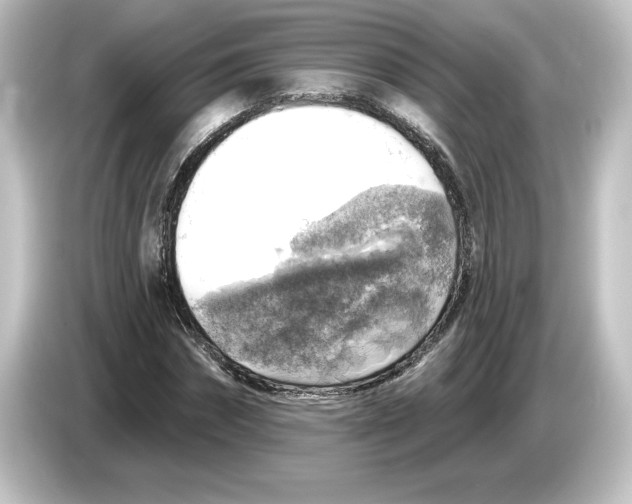 X0000084600874200703161816