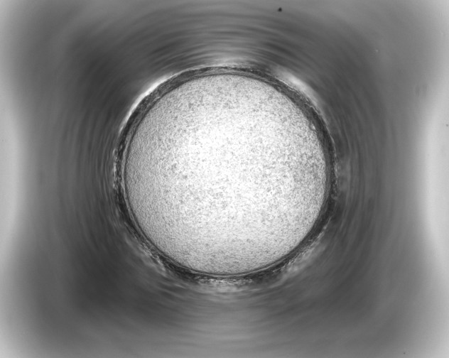 X0000084600875200703161816