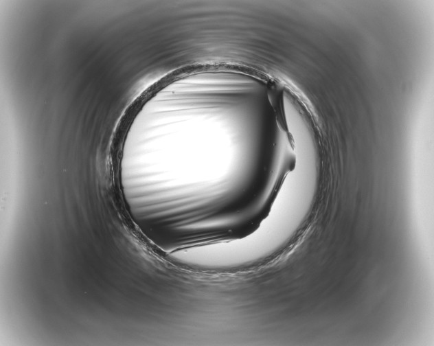 X0000084600876200703161816