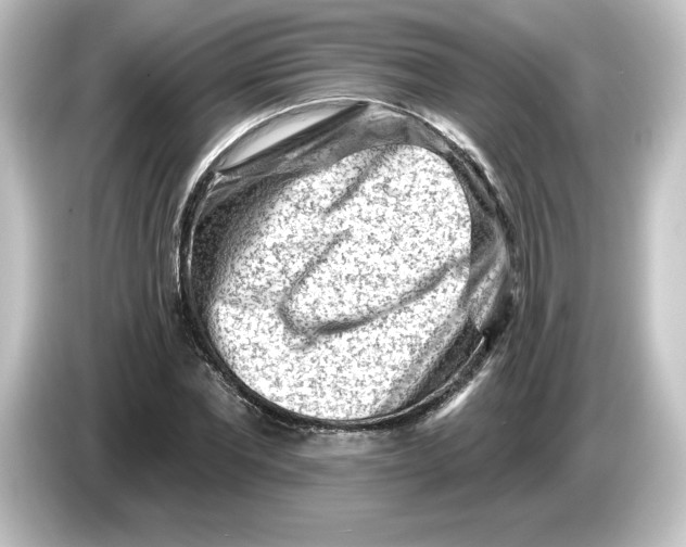 X0000084600877200703161816