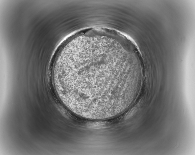 X0000084600879200703161816