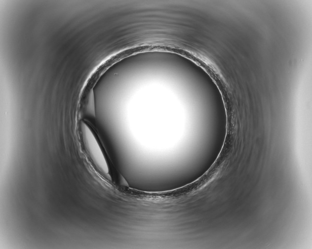 X0000084600880200703161816