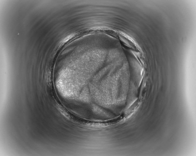 X0000084600881200703161816