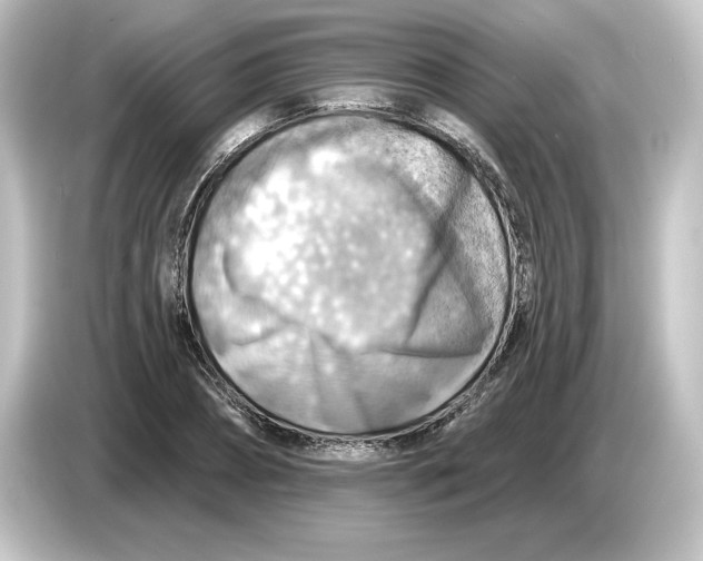 X0000084600882200703161816