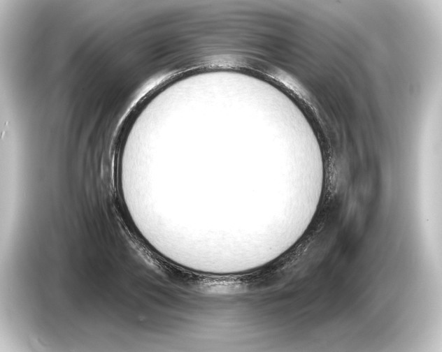 X0000084600886200703161816