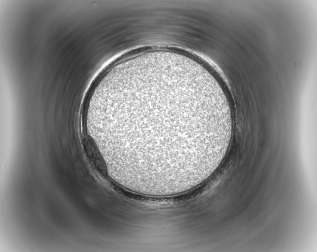 X0000084600887200703161816