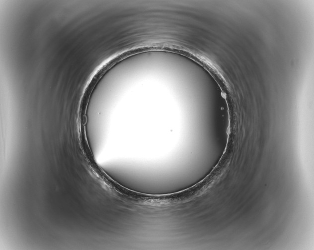 X0000084600888200703161816