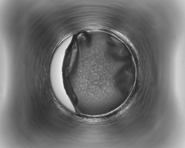 X0000084600889200703161816