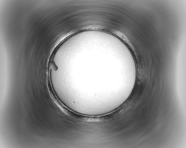 X0000084600890200703161816