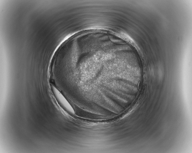 X0000084600892200703161816