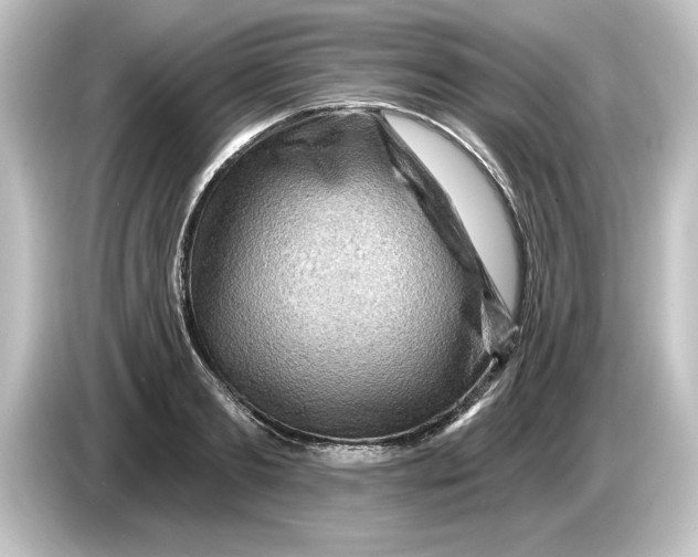 X0000084600893200703161816