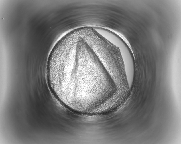 X0000084600895200703161816