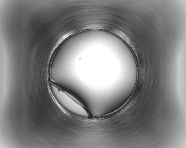 X0000084600898200703161816