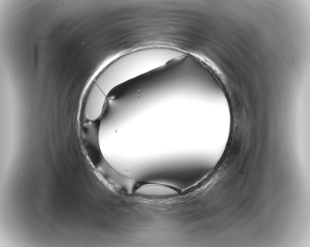 X0000084600902200703161816