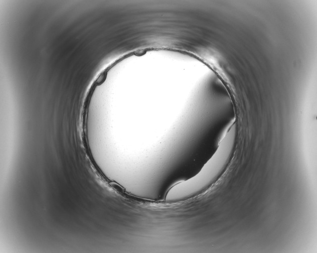 X0000084600904200703161816