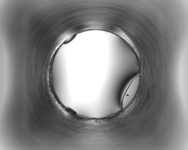 X0000084600906200703161816