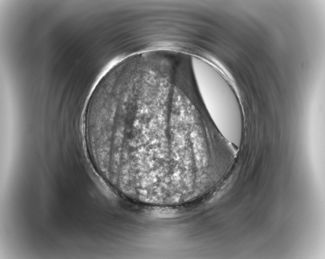 X0000084600907200703161816