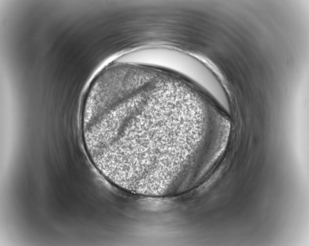 X0000084600910200703161816