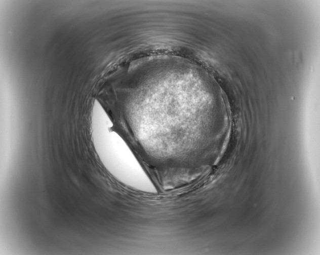 X0000084600916200703161815