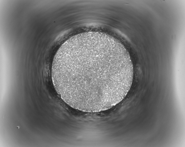 X0000084600918200703161815