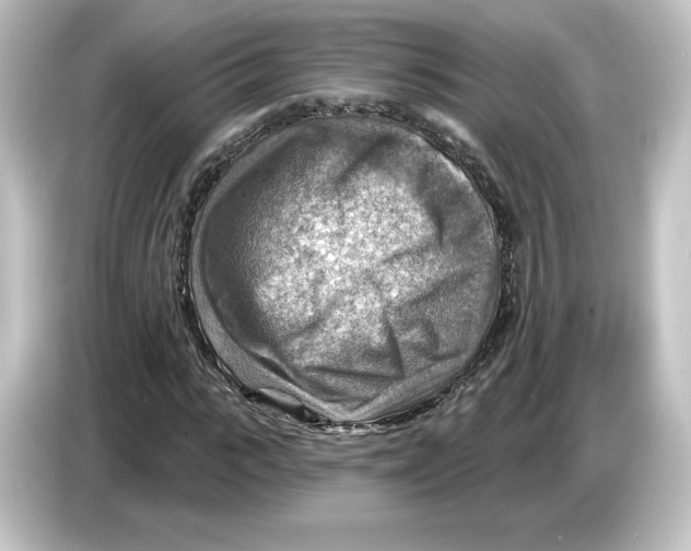 X0000084600919200703161815