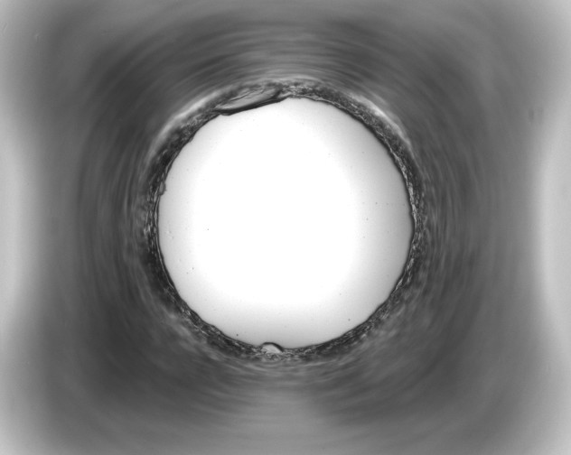 X0000084600920200703161815