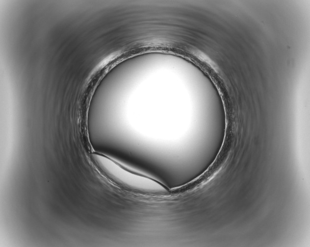 X0000084600922200703161815