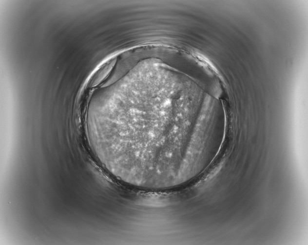 X0000084600923200703161815