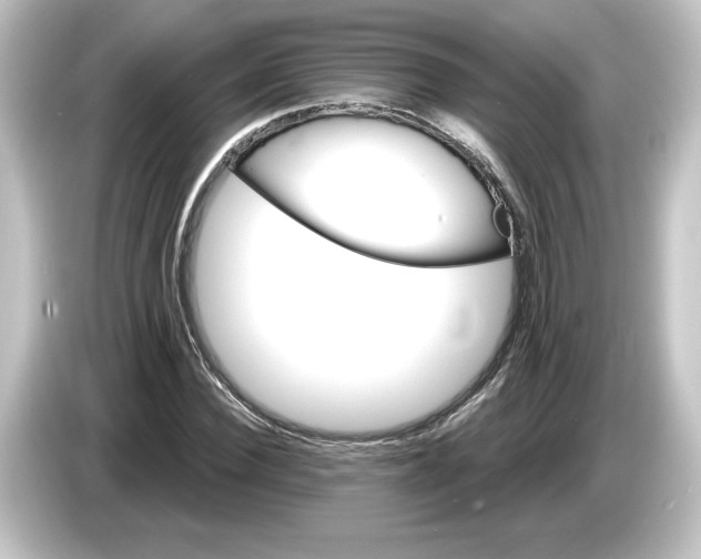 X0000084600924200703161815