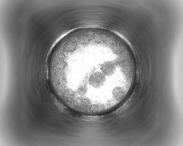 X0000084600925200703161815