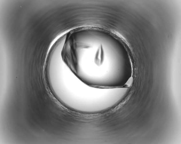 X0000084600928200703161815