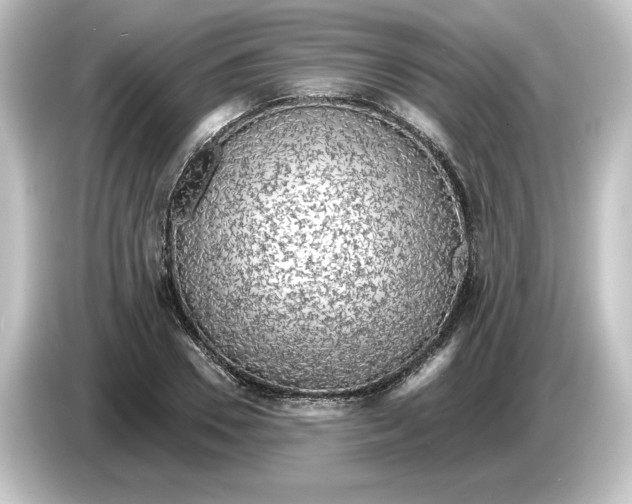 X0000084600930200703161815