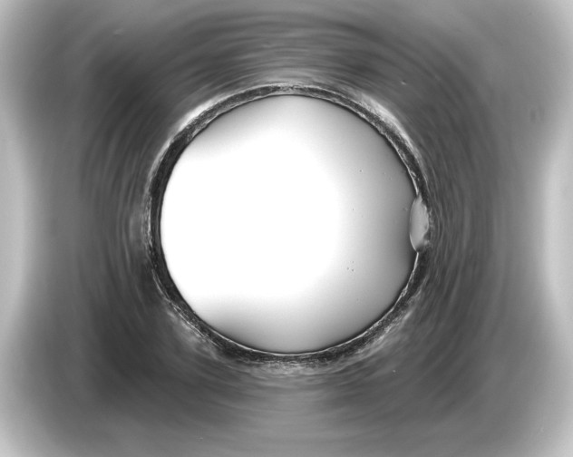 X0000084600931200703161815