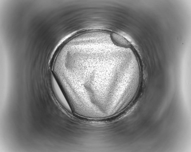 X0000084600933200703161815