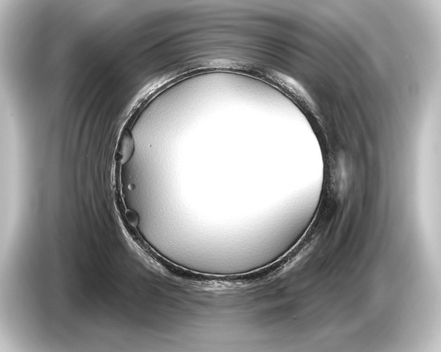 X0000084600938200703161815