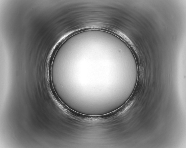 X0000084600939200703161815