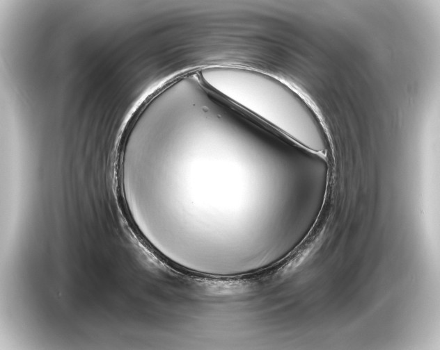 X0000084600941200703161815