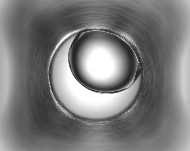 X0000084600942200703161815