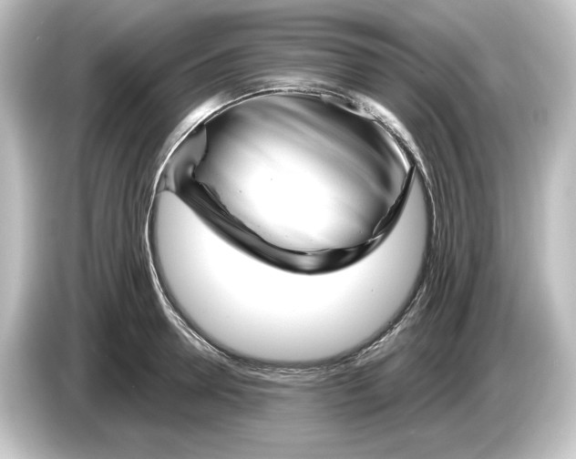 X0000084600946200703161815