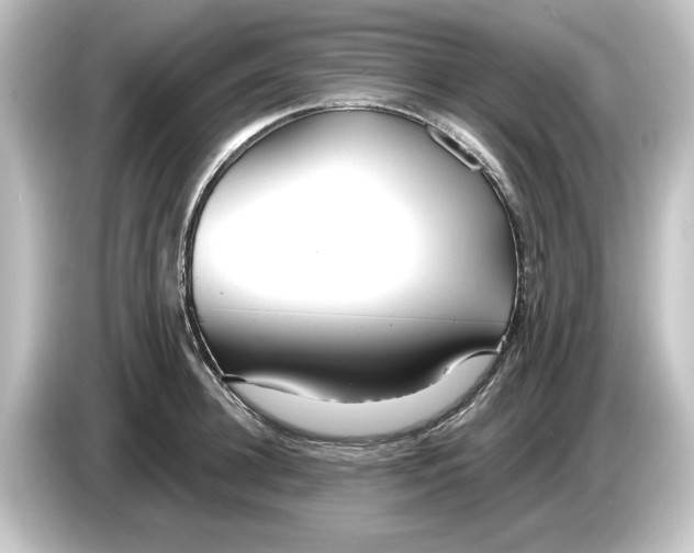 X0000084600948200703161815