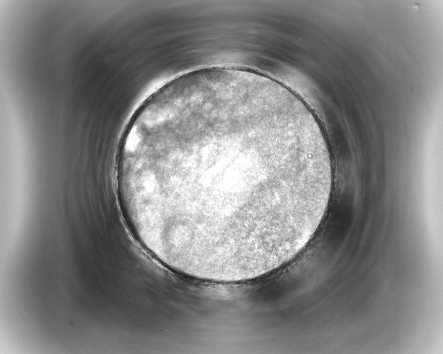 X0000084600950200703161815